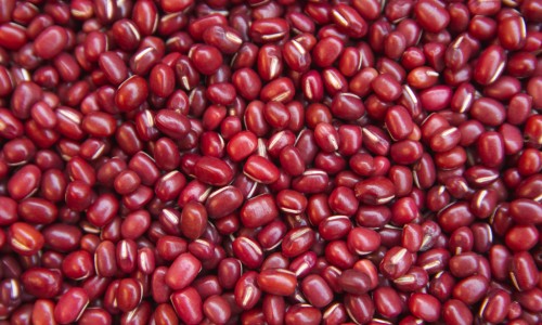小米网红棒功效网- 小米棒零食知识,分享小米米棒最简单做法