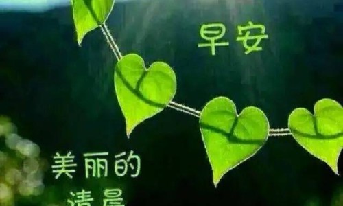 网红小米粉是卖的吗是真的吗-小米网红棒功效网- 小米棒零食知识,分享小米米棒最简单做法